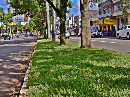 Avenida Presidente Vargas com ações de limpeza