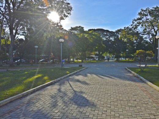 Novas adesões e renovações no Adote o Verde