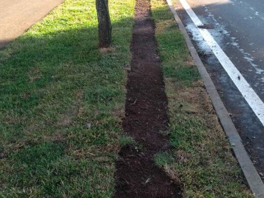 Furto de grama na Avenida Brasil