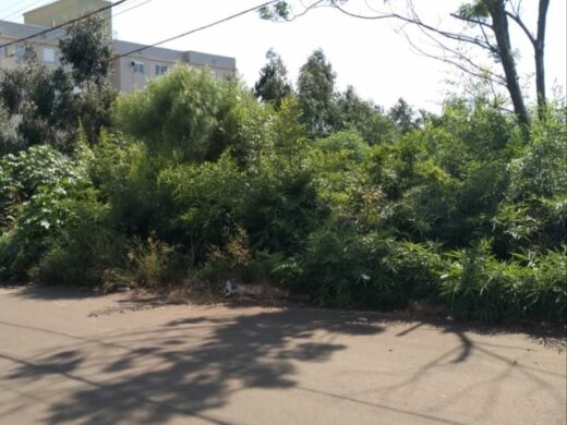 Atenção aos terrenos baldios