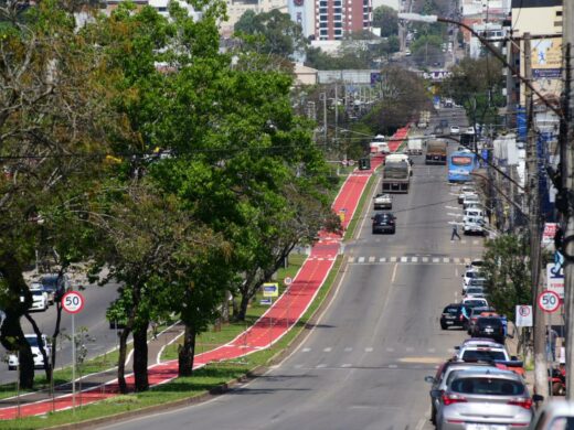 Revitalização da ciclovia
