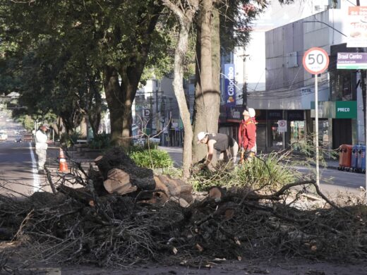 Primeira ação da campanha “Eu Amo Passo Fundo – Eu Cuido” mobiliza equipes da Prefeitura e comunidade na Avenida Brasil
