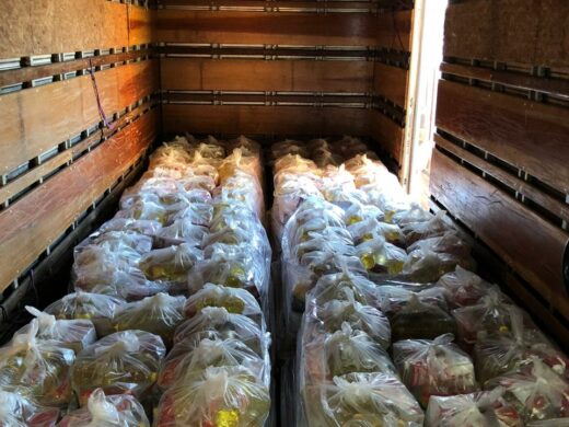 Justiça Federal doa cestas básicas a estrangeiros